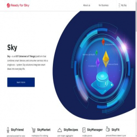 Скриншот главной страницы сайта skydom.company