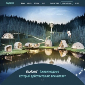 Скриншот главной страницы сайта skydome.pro