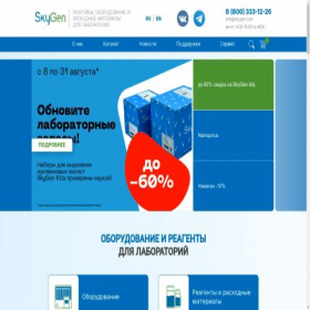 Скриншот главной страницы сайта skygen.com