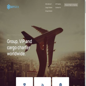 Скриншот главной страницы сайта skygex.ae