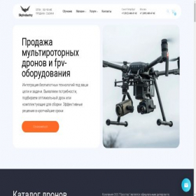 Скриншот главной страницы сайта skyindustry.ru