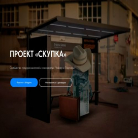 Скриншот главной страницы сайта skypka74.ru