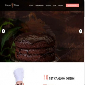 Скриншот главной страницы сайта slgizn.ru