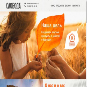 Скриншот главной страницы сайта slobodabrand.ru
