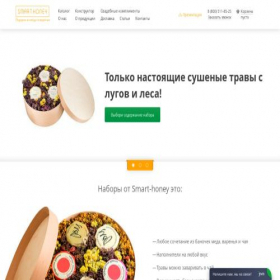 Скриншот главной страницы сайта smart-honey.ru