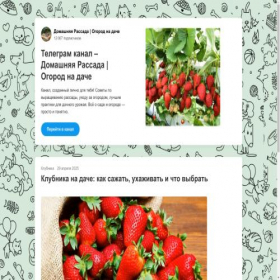 Скриншот главной страницы сайта smartavatar.ru