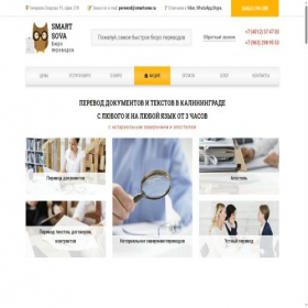 Скриншот главной страницы сайта smartsova.com