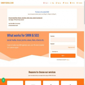 Скриншот главной страницы сайта smmterra.com