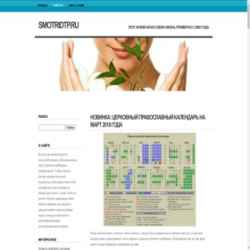 Скриншот главной страницы сайта smotridtp.ru