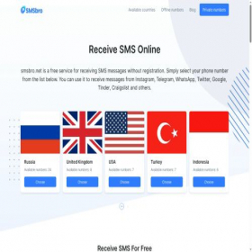 Скриншот главной страницы сайта smsbro.net