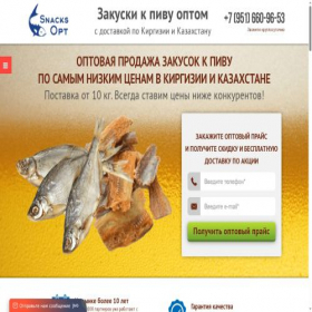 Скриншот главной страницы сайта snacksopt.kz
