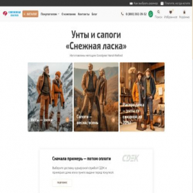 Скриншот главной страницы сайта snezhnayalaska.ru