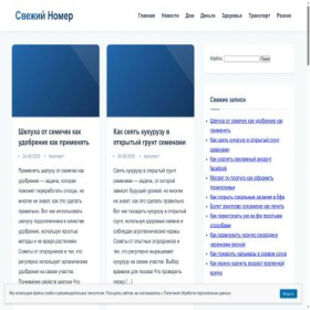 Скриншот главной страницы сайта snomer1.ru