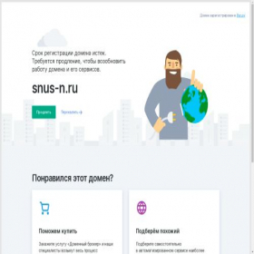 Скриншот главной страницы сайта snus-n.ru