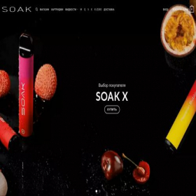 Скриншот главной страницы сайта soak-official.online