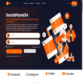 Скриншот главной страницы сайта socialpanel24.com
