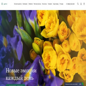 Скриншот главной страницы сайта socvetie.info