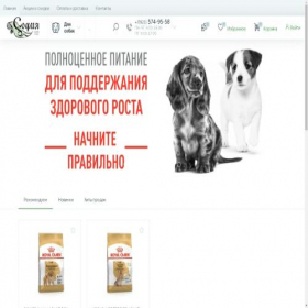 Скриншот главной страницы сайта sofiya-spb.ru