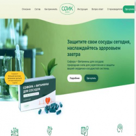 Скриншот главной страницы сайта soforaplus.ru