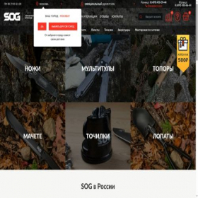 Скриншот главной страницы сайта sogstore.ru
