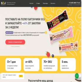 Скриншот главной страницы сайта sojopt.com