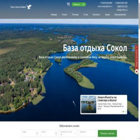 Скриншот главной страницы сайта sokoltur.ru