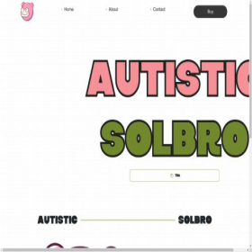 Скриншот главной страницы сайта solbro.net