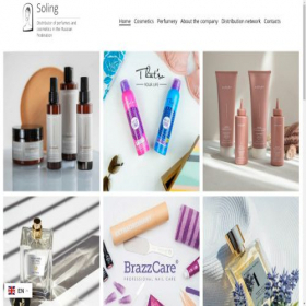 Скриншот главной страницы сайта solingcompany.ru
