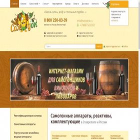 Скриншот главной страницы сайта solodok.ru