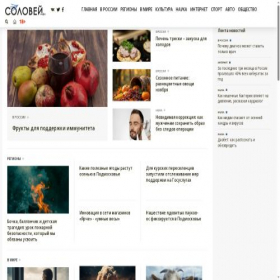 Скриншот главной страницы сайта solovei.info