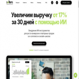 Скриншот главной страницы сайта solters.agency