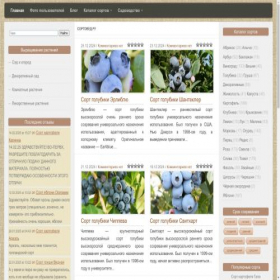 Скриншот главной страницы сайта sortoved.ru