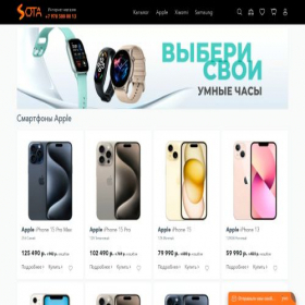 Скриншот главной страницы сайта sota-store.ru