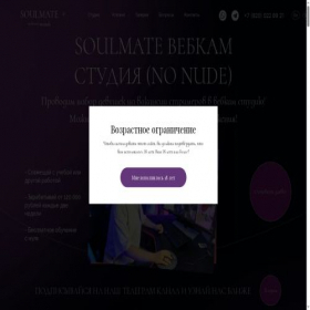 Скриншот главной страницы сайта soulmate-studio.ru