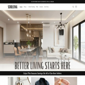 Скриншот главной страницы сайта soulona.com