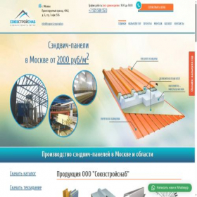 Скриншот главной страницы сайта soyuzstroysnab.ru