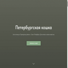 Скриншот главной страницы сайта spb-koshka.ru