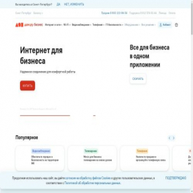 Скриншот главной страницы сайта spb.b2b.domru.ru
