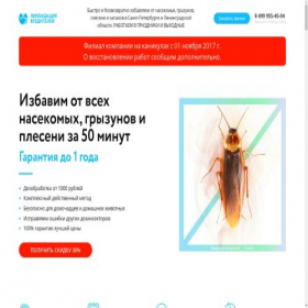 Скриншот главной страницы сайта spb.licvid.ru