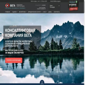 Скриншот главной страницы сайта spb.neo-wega.com