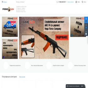 Скриншот главной страницы сайта spb.primegun.ru