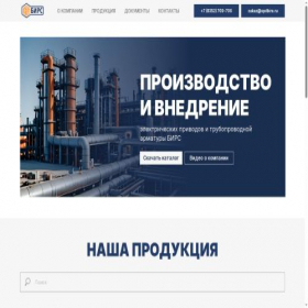 Скриншот главной страницы сайта spdbirs.ru