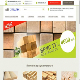 Скриншот главной страницы сайта specles.ru