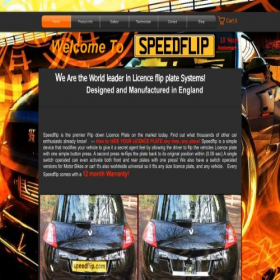 Скриншот главной страницы сайта speedflip.com