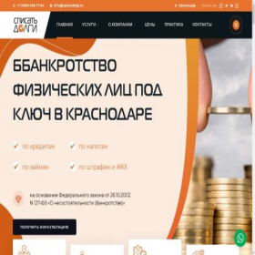 Скриншот главной страницы сайта spicatdolgi.ru
