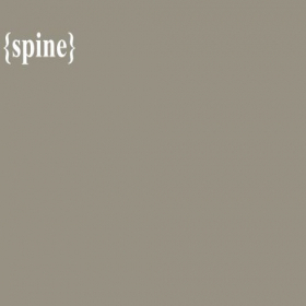 Скриншот главной страницы сайта spine.com