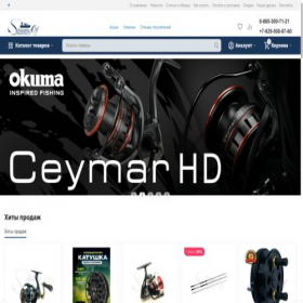 Скриншот главной страницы сайта spinningoff.ru