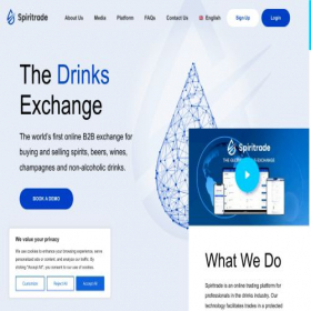 Скриншот главной страницы сайта spiritrade.com