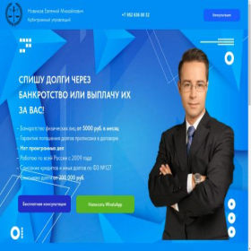 Скриншот главной страницы сайта spisatdolgi38.tilda.ws