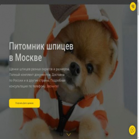 Скриншот главной страницы сайта spitzmsk.ru